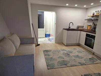 Obývací pokoj; kuchyňské spotřebiče, dřevěná podlaha, přirozené světlo, moderní styl