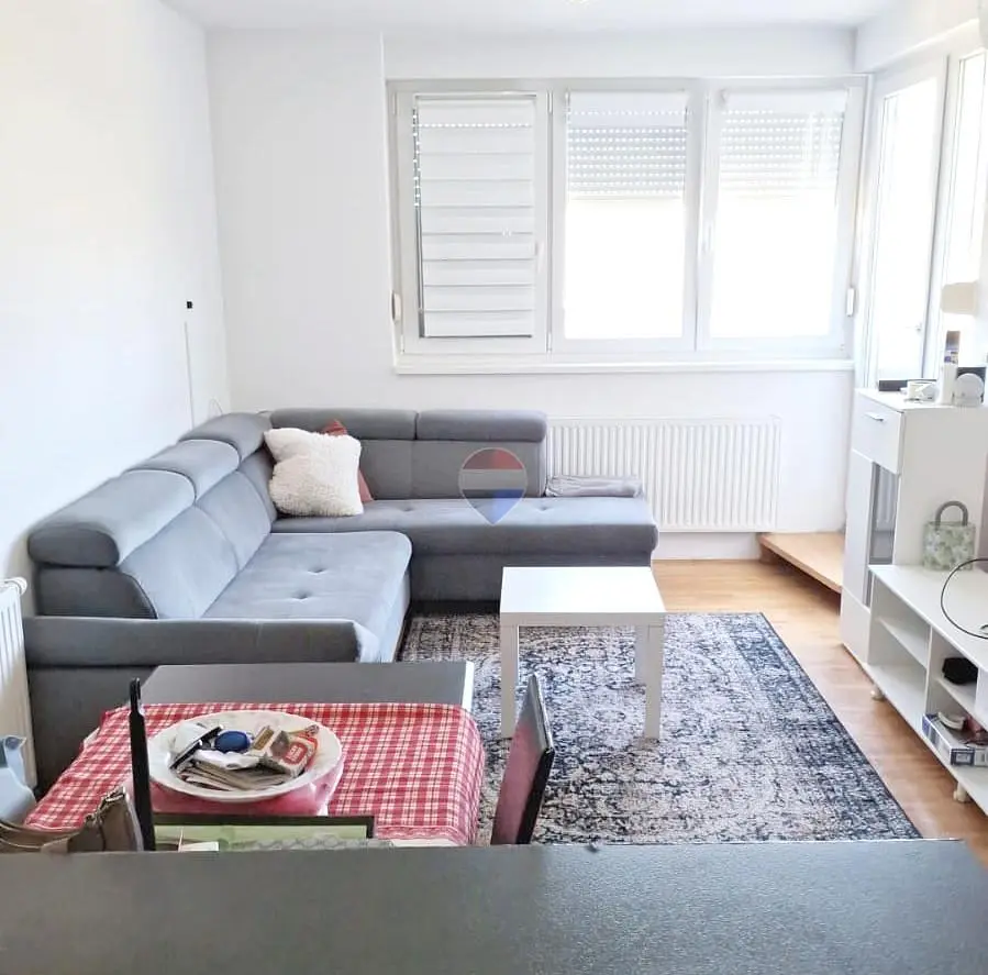 Salon; lumière naturelle, parquet