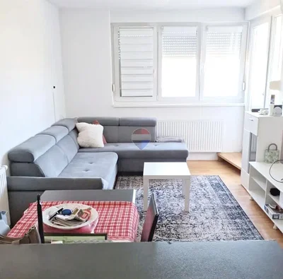 Salon; lumière naturelle, parquet