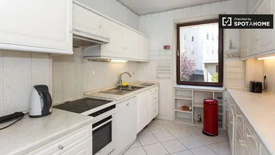 Kuhinja; kuhinjski aparati, pogled, prirodno svjetlo