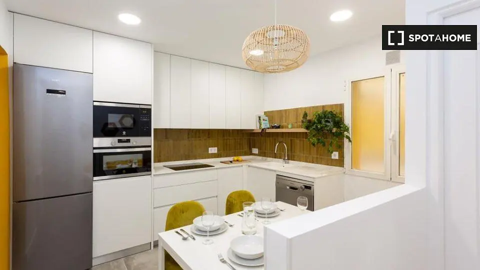 Cuisine; électroménager, lumière naturelle