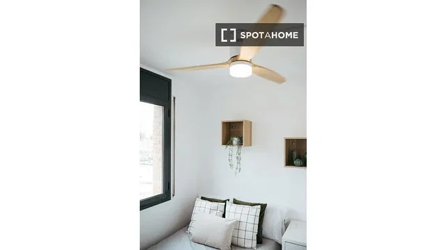 Salon; lumière naturelle, style moderne