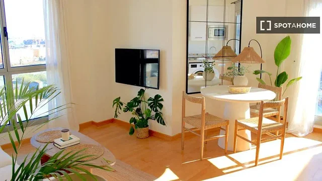 Living room; natural light, view