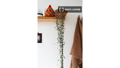 Altro