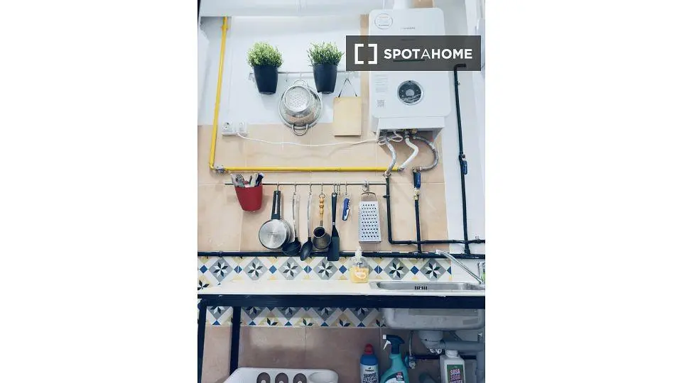 Kitchen; kitchen appliances, wood floor, natural light