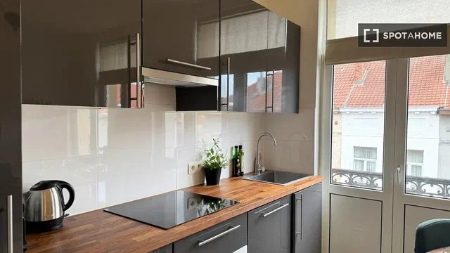 Kitchen; kitchen appliances, natural light, modern style