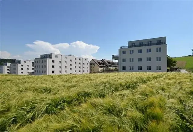 Huis en omgeving