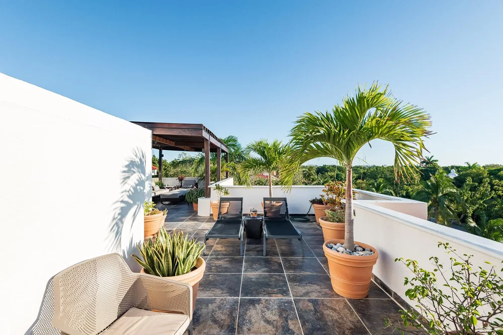 Terrasse; vue, lumière naturelle, carrelage