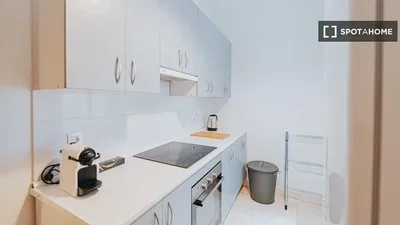 Kuhinja; kuhinjski aparati, pločice, prirodno svjetlo, moderni stil