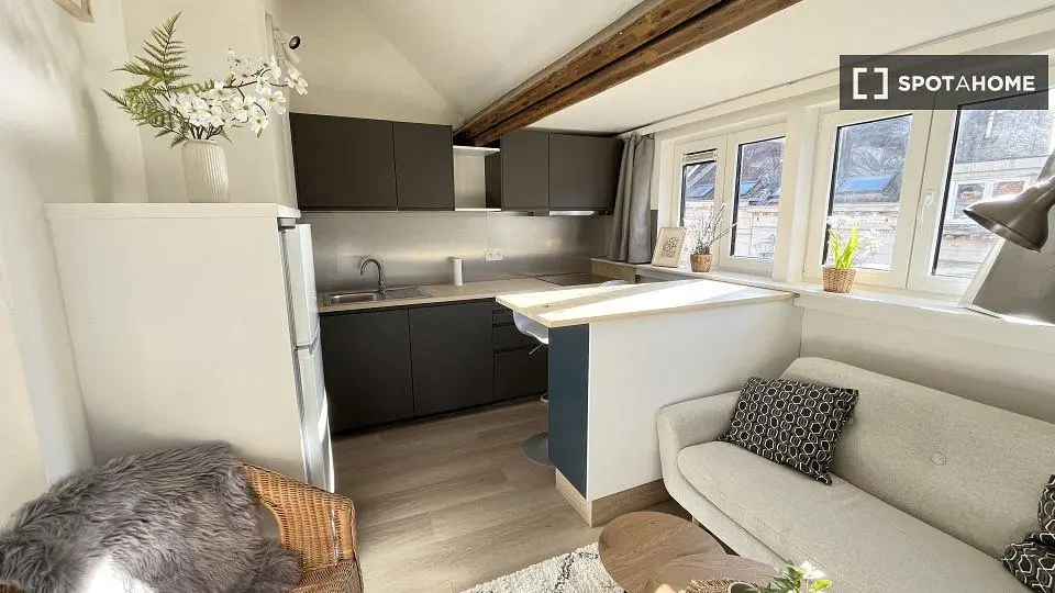 Cucina; elettrodomestici, luce naturale, pavimento in legno