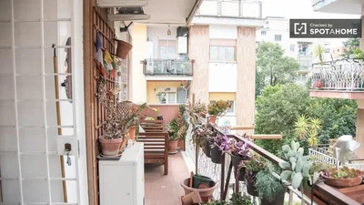 Balcon; lumière naturelle, plantes