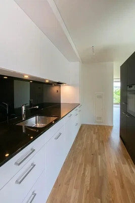 Cocina; electrodomésticos, suelo de madera, luz natural, estilo moderno, renovado