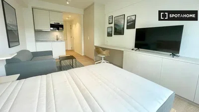 Camera da letto; luce naturale, pavimento in piastrelle, stile moderno, elettrodomestici