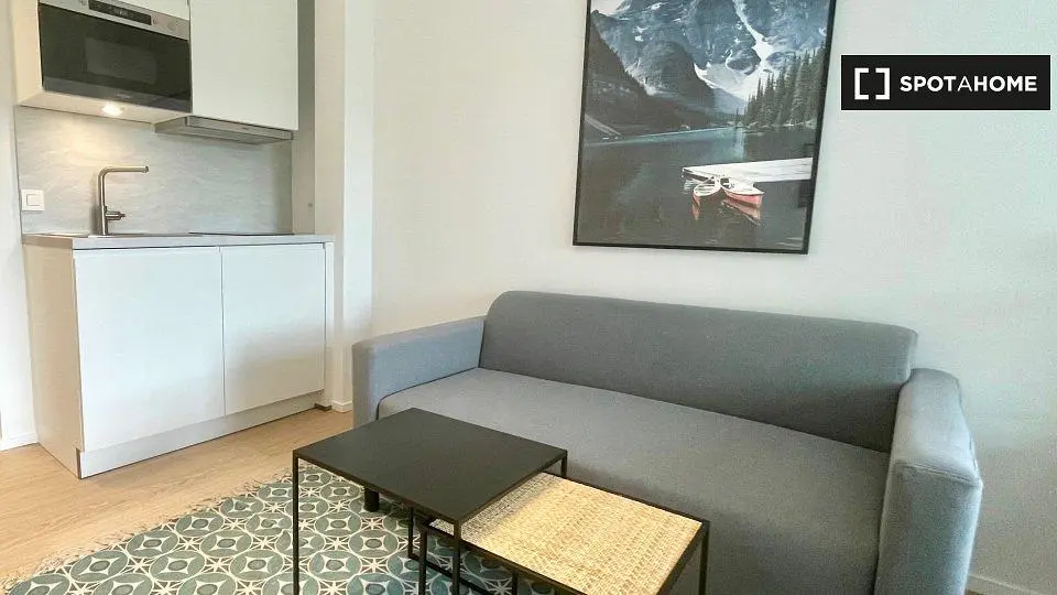 Soggiorno; elettrodomestici, luce naturale, stile moderno