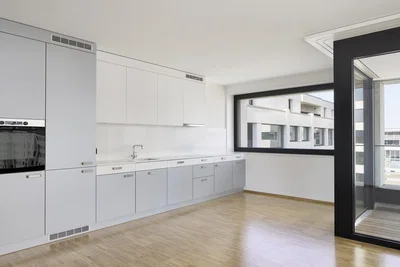 Cuisine; électroménager, parquet, lumière naturelle