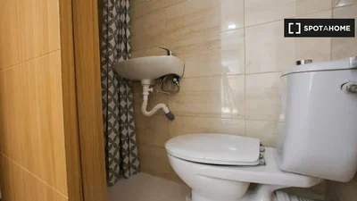 Toilettes; carrelage, rénové, lumière naturelle