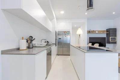 Kitchen; kitchen appliances, natural light, modern style, renovated