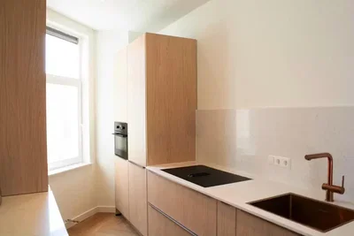 Keuken; keukenapparatuur, natuurlijk licht, moderne stijl