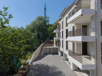 House and surroundings; natural light, view