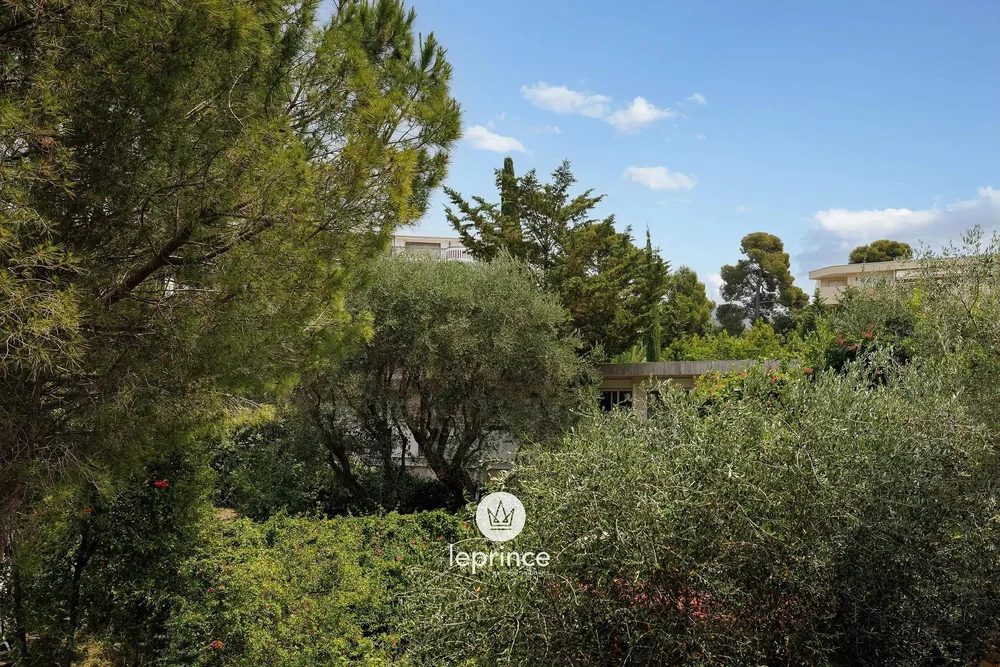House and surroundings; natural light, view