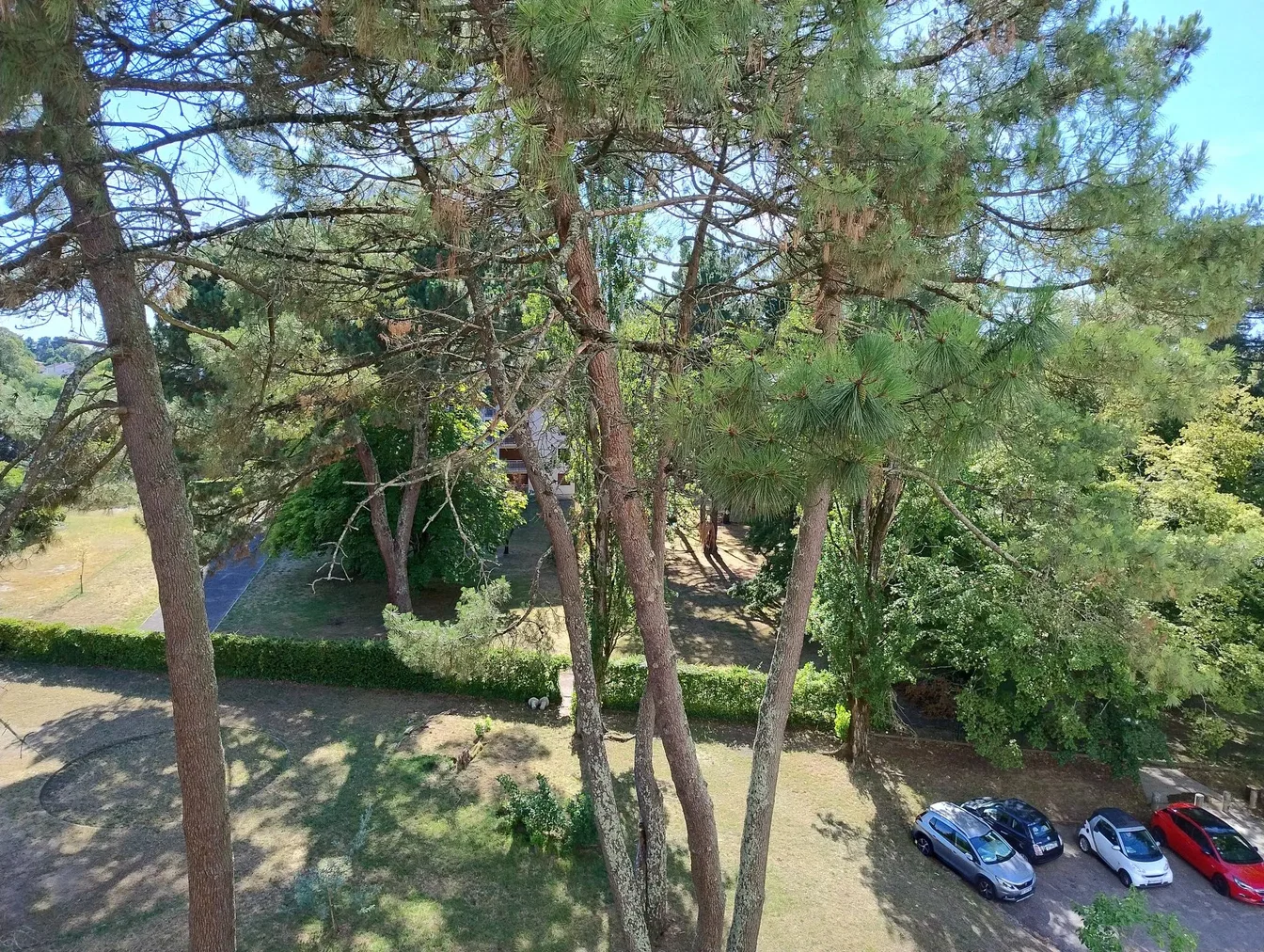 Dom a okolie; prirodzené svetlo, výhľad
