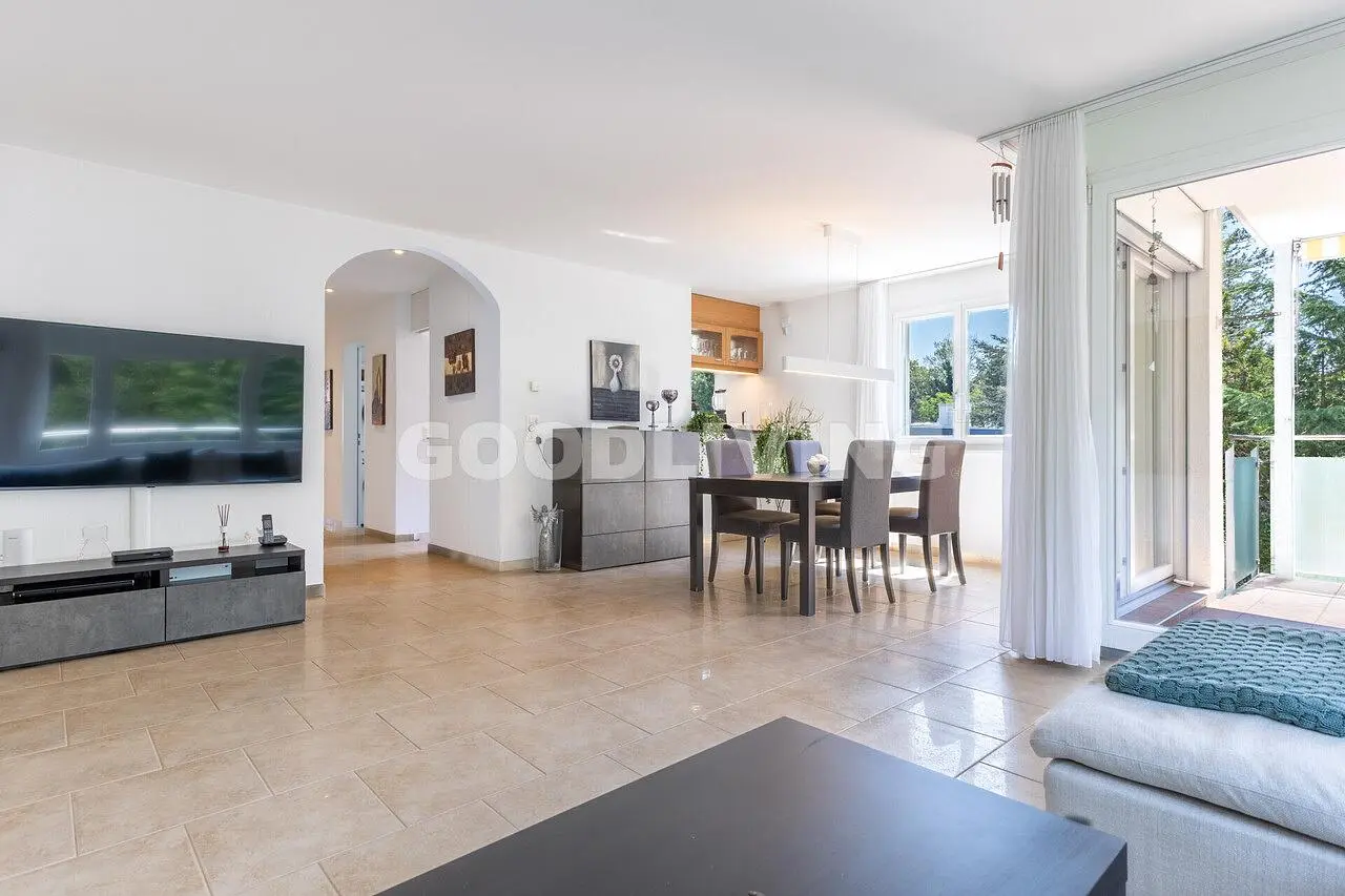 Salon; carrelage, lumière naturelle, vue