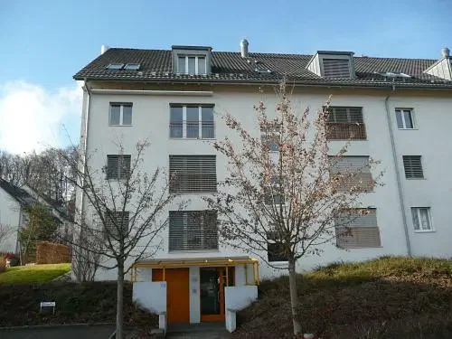 House and surroundings
