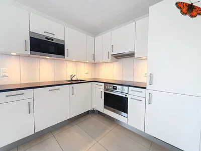Cucina; elettrodomestici, pavimento in piastrelle, ristrutturato, luce naturale