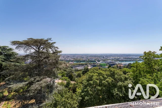 Terrace; view, natural light