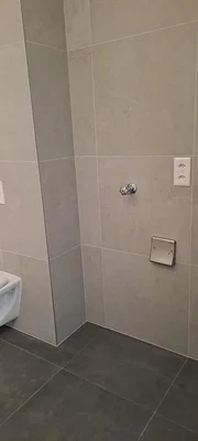 Toilette; fliesenboden, tageslicht