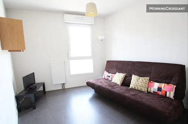 غرفة معيشة; ضوء طبيعي