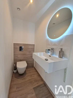 Toilette; ristrutturato, pavimento in legno, luce naturale