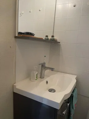 Toilette; pavimento in piastrelle, ristrutturato, luce naturale