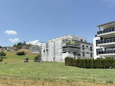 Casa e dintorni