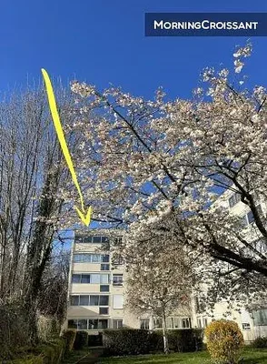 Casa e dintorni; vista, luce naturale