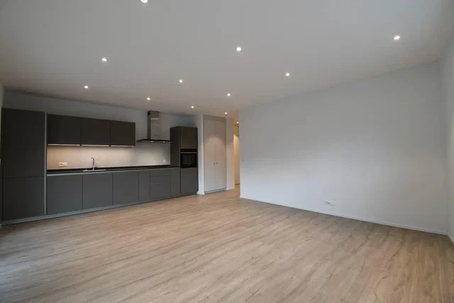 Küche; küchengeräte, holzboden, tageslicht, renoviert