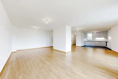 Wohnzimmer; holzboden, tageslicht