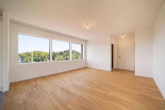Salon; vue, parquet, lumière naturelle