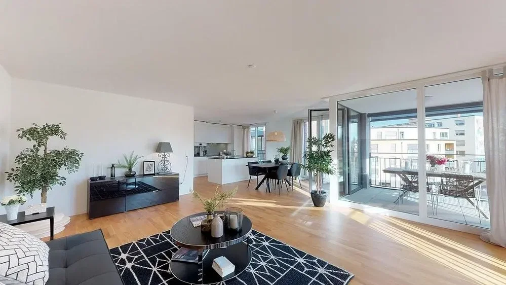 Salon; lumière naturelle, parquet, style moderne