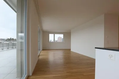 Salon; vue, parquet, lumière naturelle
