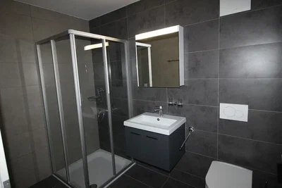 Salle de bain; carrelage, rénové, lumière naturelle