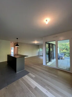 Salon; parquet, lumière naturelle, vue