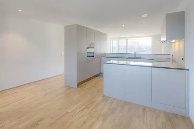 Cuisine; électroménager, parquet, lumière naturelle, rénové
