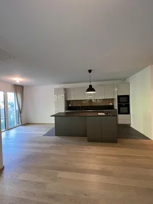 Cuisine; électroménager, parquet, lumière naturelle