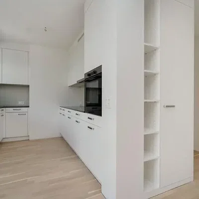 Cuisine; électroménager, parquet, lumière naturelle, rénové