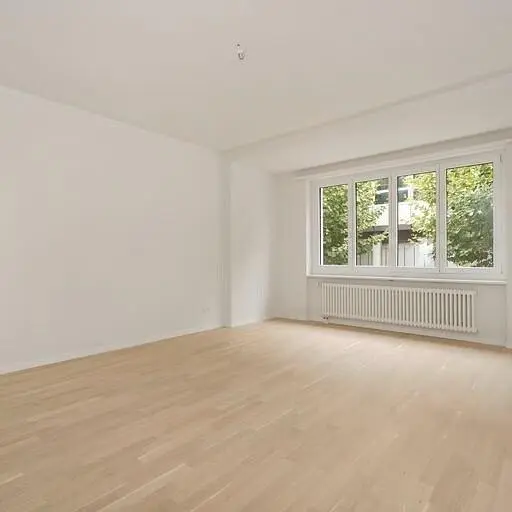 Salon; parquet, lumière naturelle
