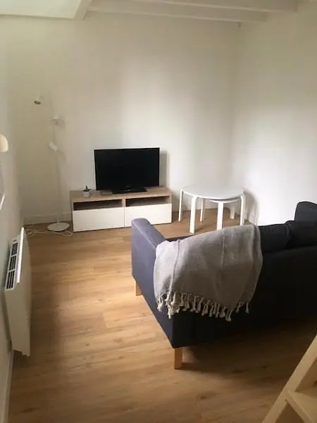 Salon; parquet, lumière naturelle