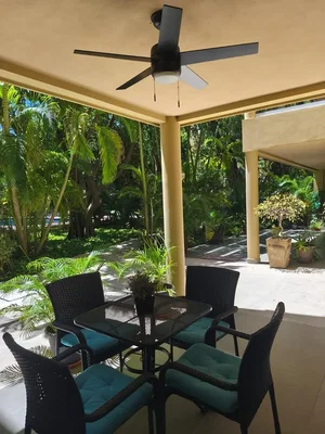 Terrasse; lumière naturelle, parquet