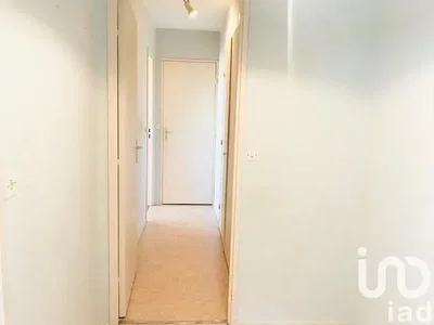 Kammer