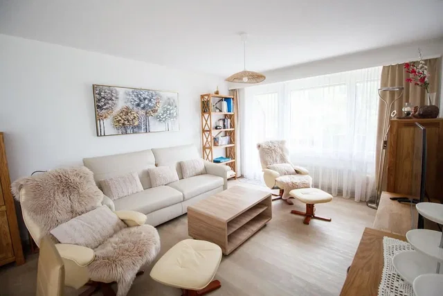 Salon; lumière naturelle, style moderne, parquet